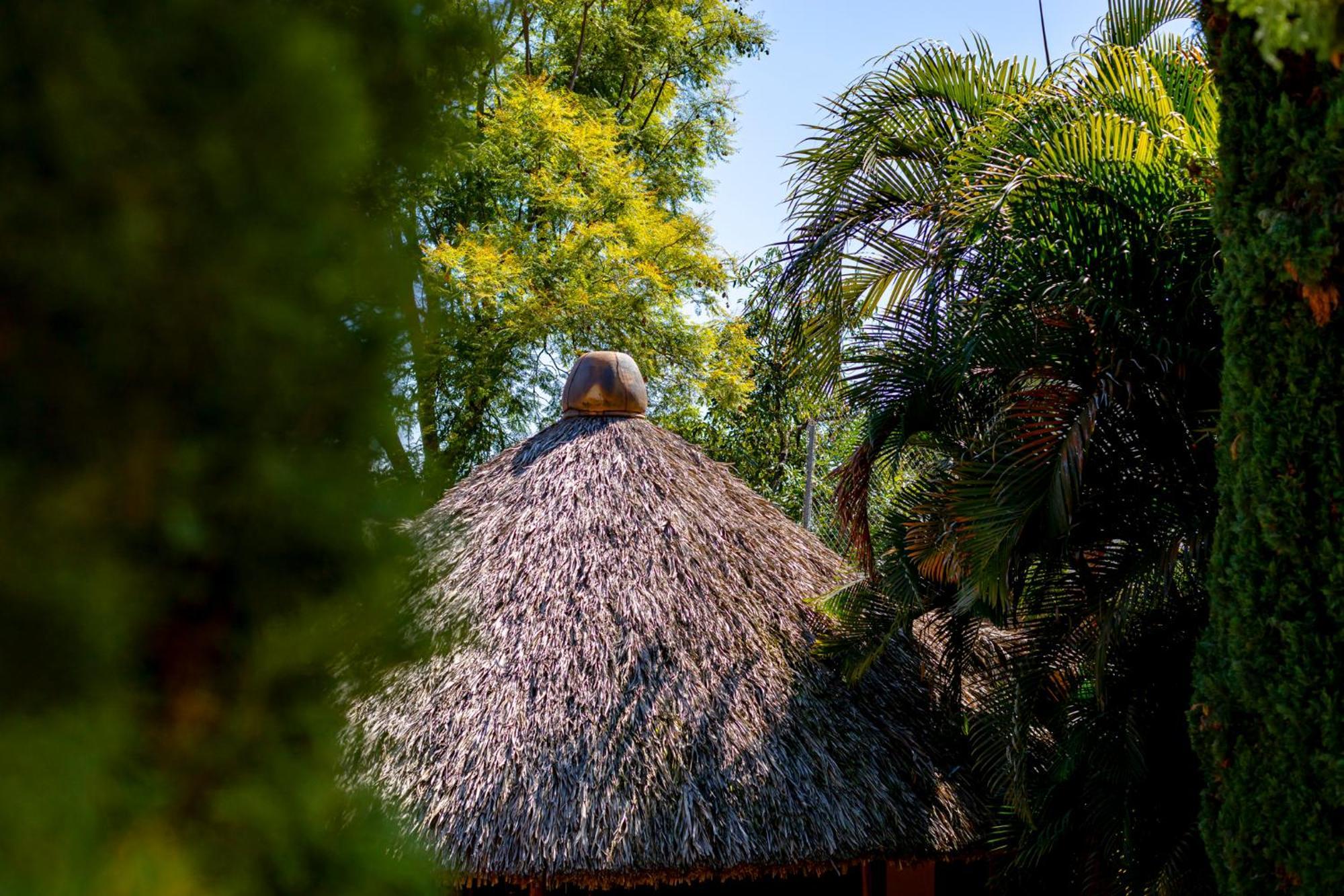 Hotel Casa Yunenisa Oaxaca Exteriör bild